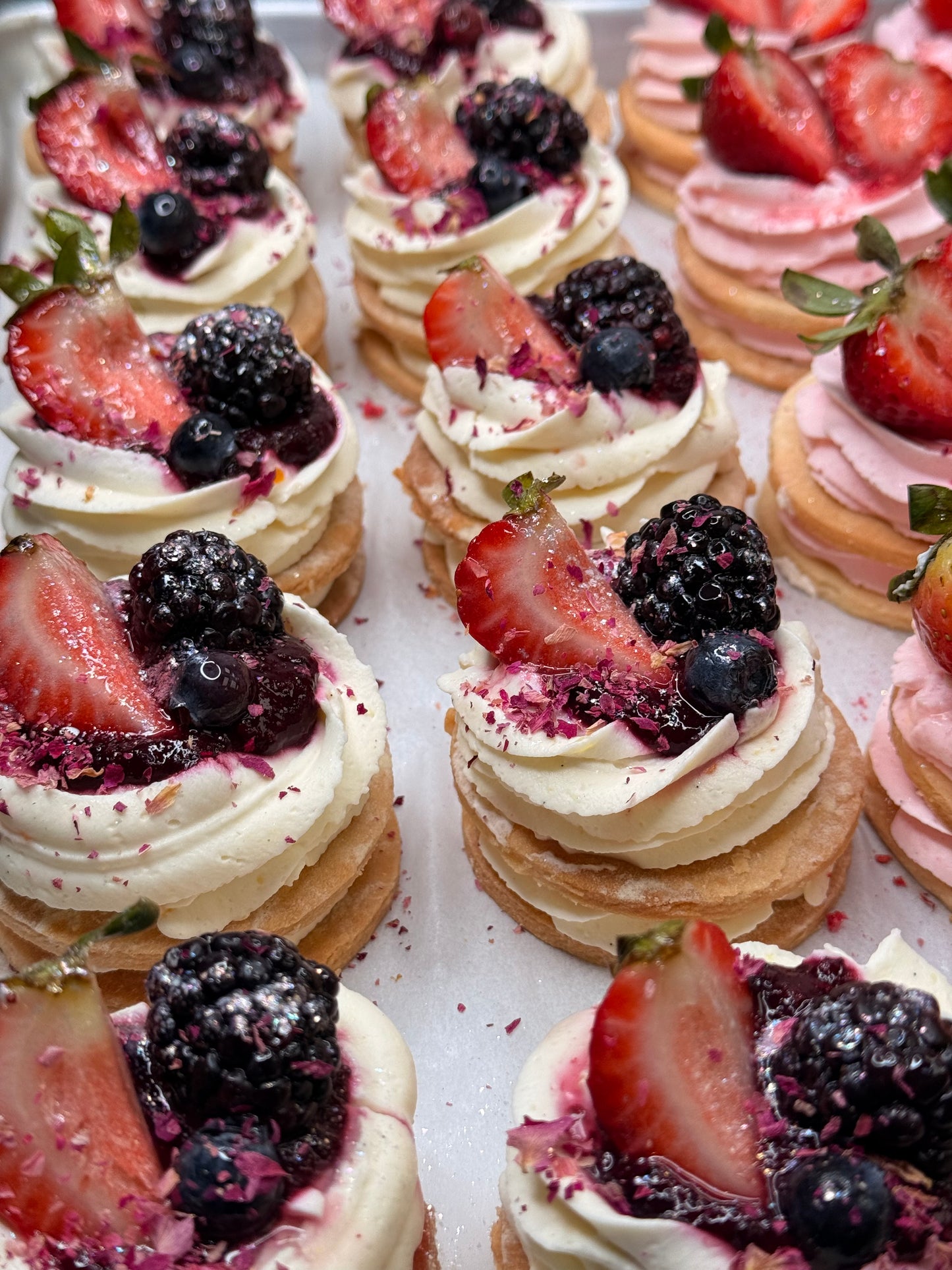 Host Box (9 Dream Tarts)