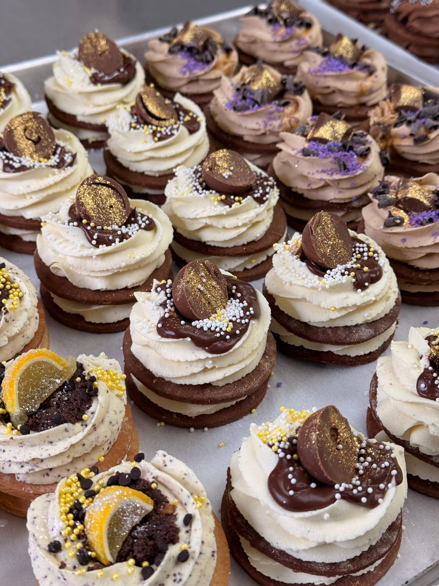 Host Box (9 Dream Tarts)