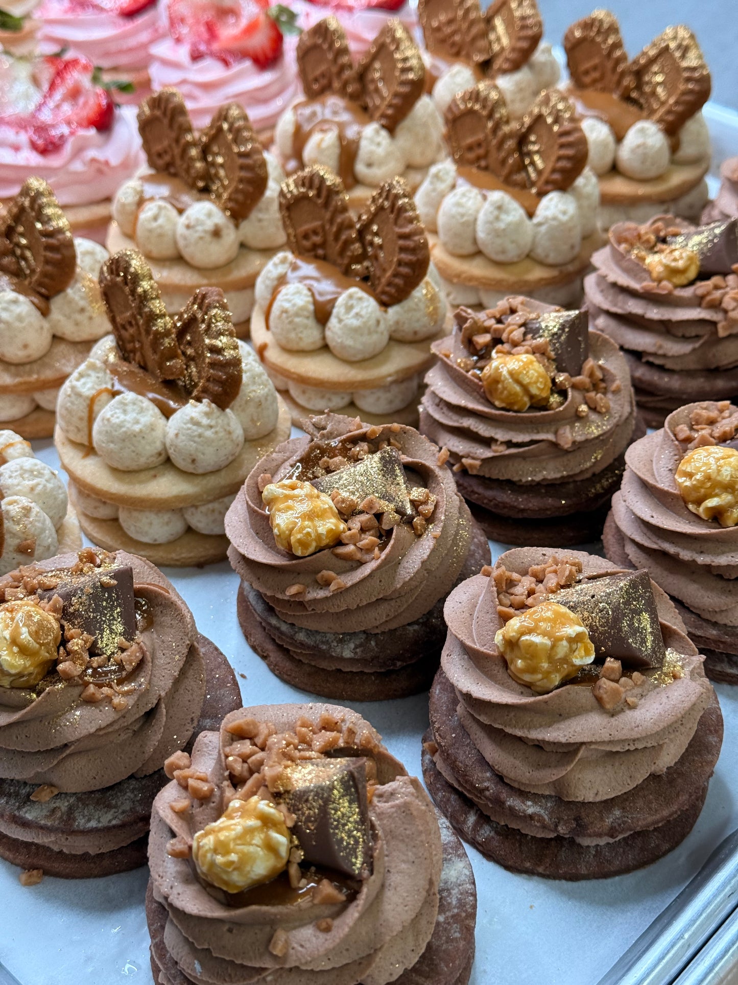 Host Box (9 Dream Tarts)